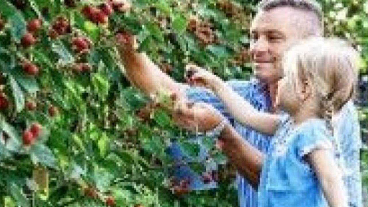 Avrupa’nın en büyük bahçesi, “Corn Maze Bahçe” Ağva’da kuruluyor