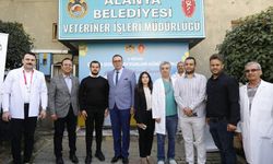 Alanya Belediyesi’nden Sokak Hayvanları İçin Anlamlı Etkinlik