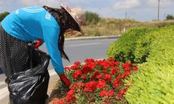 Alanya Belediyesi Kenti Çiçek Bahçesine Dönüştürüyor