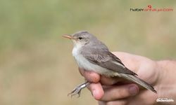 ALKÜ öncülüğünde Kuş Halkalama İstasyonu Kuruldu