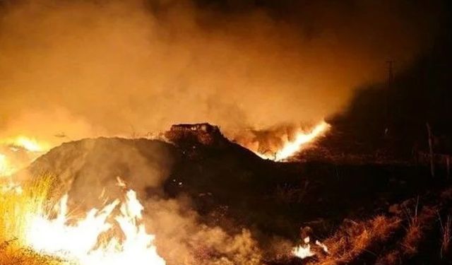 Şırnak'taki anız yangını yeniden başladı
