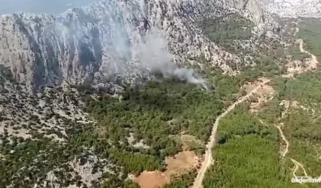 Antalya'da orman yangını! Havadan karadan müdahale