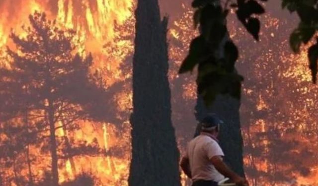 Antalya Döşemealtı’nda gece saatlerinde orman yangını çıktı.