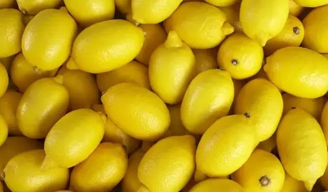 Alanya'da Limon Halde 35 lira, manavda 120 lira,pazarda 80 lira