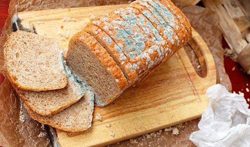 Ekmeğin Küflenmesi Nasıl Önlenir?